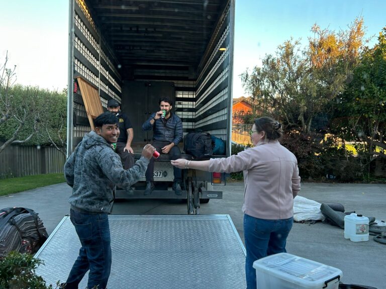 Trusted Piano Movers in Christchurch NZ 